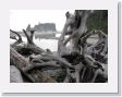 04 Ruby Beach - 03